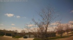 Web Cam Image - Fri, 04/17/2026 12:31pm CDT