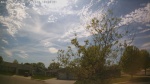 Web Cam Image - Sat, 05/16/2026 3:47pm CDT