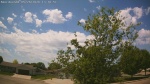 Web Cam Image - Tue, 05/26/2026 12:14pm CDT