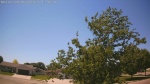 Web Cam Image - Sat, 06/06/2026 1:13pm CDT