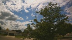 Web Cam Image - Mon, 06/22/2026 2:05pm CDT