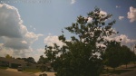 Web Cam Image - Mon, 06/30/2025 10:25am CDT