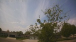 Web Cam Image - Thu, 05/21/2026 1:02pm CDT