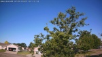 Web Cam Image - Tue, 07/01/2025 1:04am CDT