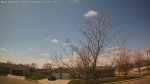 Web Cam Image - Fri, 04/17/2026 12:29pm CDT
