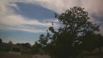 Web Cam Image - Tue, 06/09/2026 2:49pm CDT