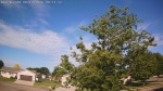 Web Cam Image - Thu, 06/18/2026 7:58am CDT