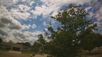 Web Cam Image - Mon, 06/22/2026 2:04pm CDT