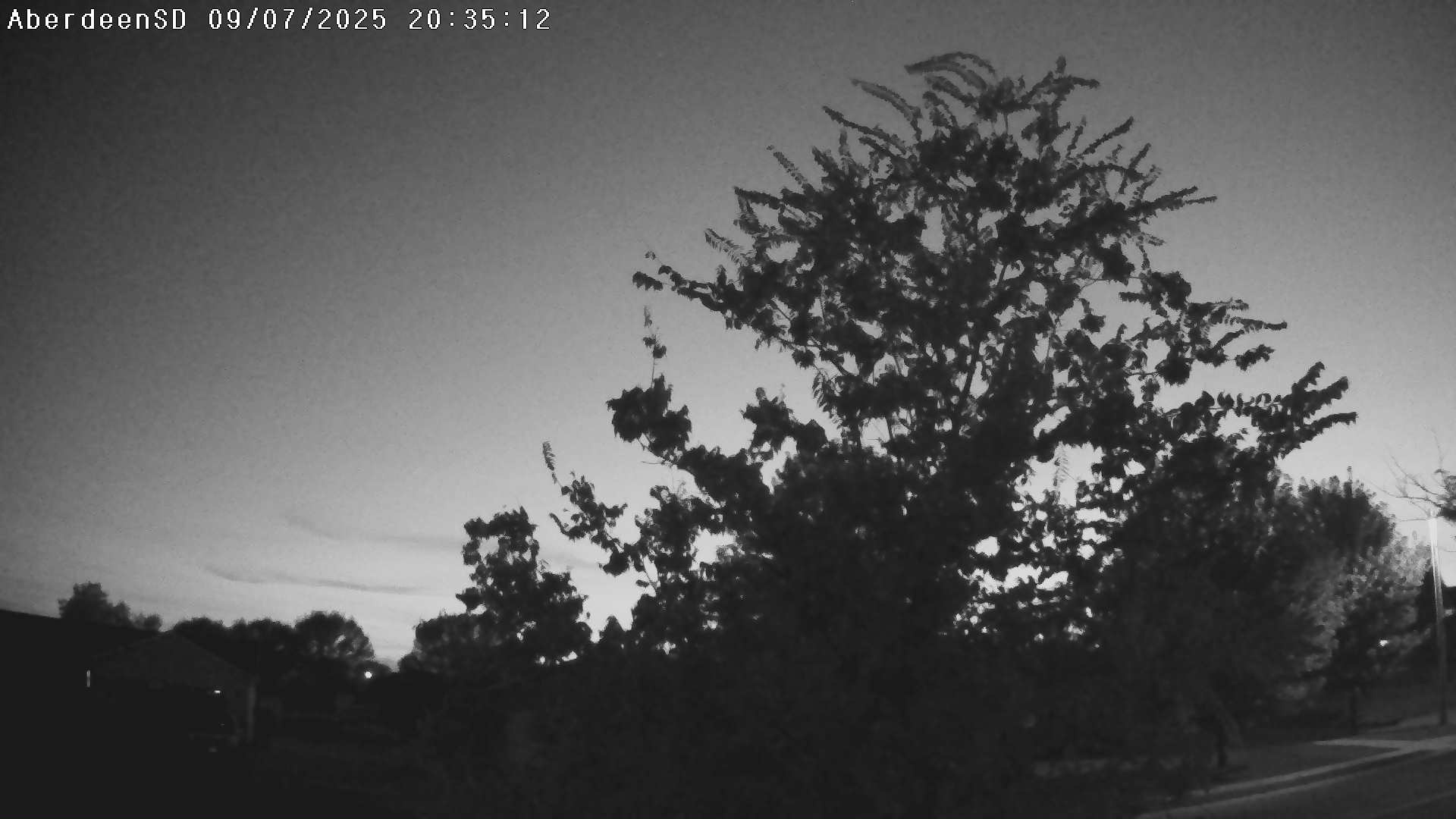 Web Cam History Image - 42