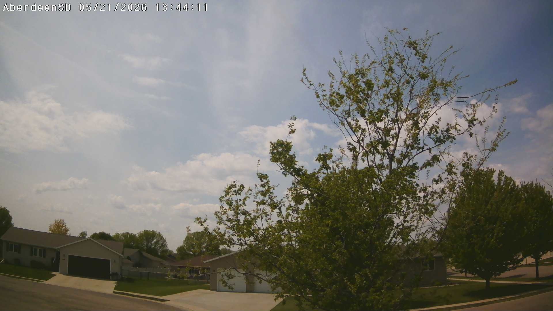 Web Cam History Image - 417