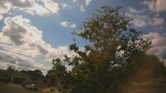 Web Cam Image - Sat, 09/06/2025 12:52pm CDT