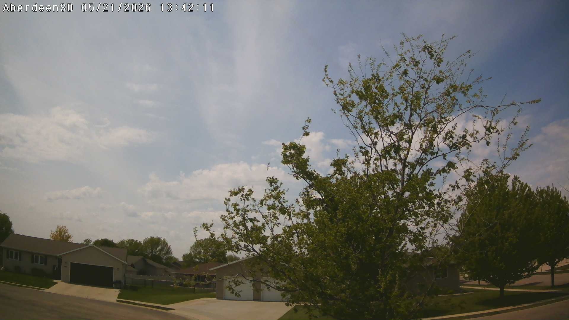 Web Cam History Image - 418