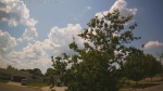 Web Cam Image - Mon, 06/30/2025 9:55am CDT