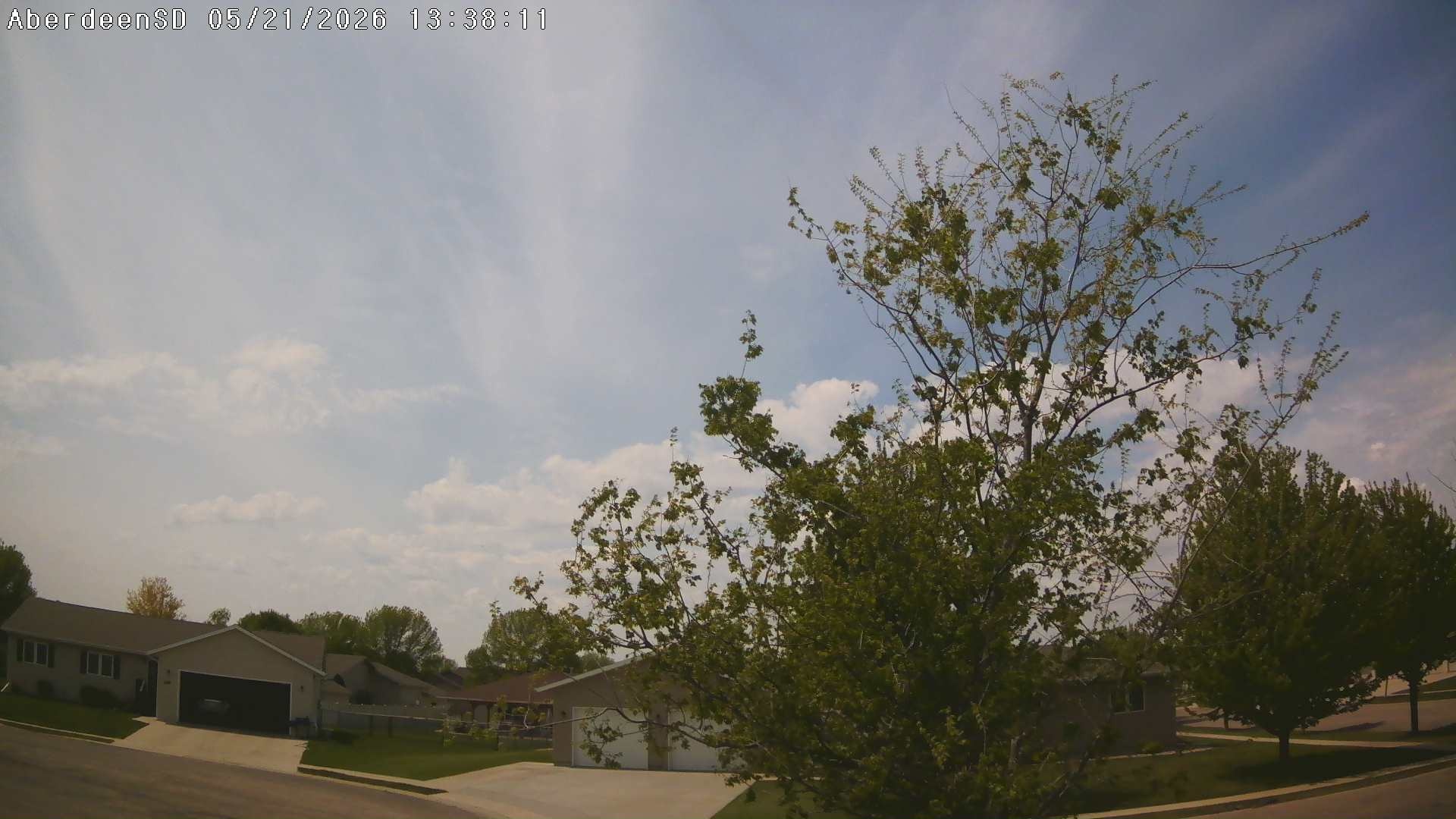 Web Cam History Image - 419