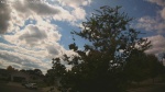 Web Cam Image - Sat, 09/06/2025 12:47pm CDT