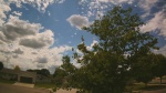 Web Cam Image - Mon, 06/22/2026 2:01pm CDT