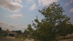 Web Cam Image - Sun, 06/28/2026 12:16pm CDT