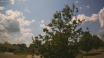 Web Cam Image - Mon, 06/30/2025 9:52am CDT