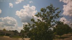 Web Cam Image - Mon, 06/30/2025 9:49am CDT