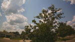 Web Cam Image - Mon, 06/30/2025 9:47am CDT