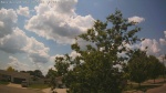 Web Cam Image - Mon, 06/30/2025 9:46am CDT