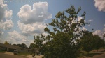 Web Cam Image - Mon, 06/30/2025 9:41am CDT