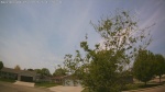 Web Cam Image - Thu, 05/21/2026 12:31pm CDT