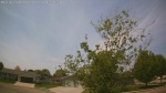 Web Cam Image - Thu, 05/21/2026 12:28pm CDT