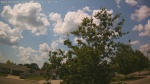 Web Cam Image - Mon, 06/30/2025 9:37am CDT