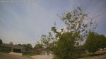 Web Cam Image - Thu, 05/21/2026 12:22pm CDT