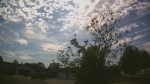 Web Cam Image - Sat, 05/16/2026 3:41pm CDT