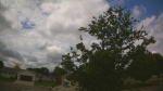Web Cam Image - Thu, 06/04/2026 11:17am CDT