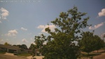 Web Cam Image - Mon, 06/30/2025 9:29am CDT