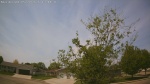Web Cam Image - Thu, 05/21/2026 12:16pm CDT