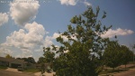 Web Cam Image - Mon, 06/30/2025 9:25am CDT