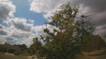 Web Cam Image - Sat, 09/06/2025 12:19pm CDT