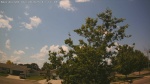 Web Cam Image - Mon, 06/30/2025 9:22am CDT