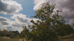 Web Cam Image - Sat, 09/06/2025 12:11pm CDT