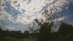 Web Cam Image - Sat, 05/16/2026 3:40pm CDT
