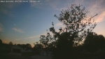 Web Cam Image - Sun, 05/24/2026 8:01pm CDT