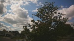 Web Cam Image - Sat, 09/06/2025 12:01pm CDT