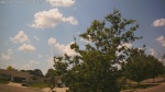 Web Cam Image - Mon, 06/30/2025 9:05am CDT
