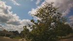 Web Cam Image - Sat, 09/06/2025 11:59am CDT