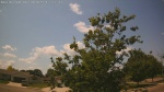 Web Cam Image - Mon, 06/30/2025 9:04am CDT