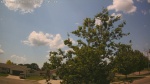 Web Cam Image - Mon, 06/30/2025 8:55am CDT