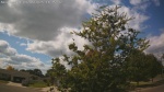 Web Cam Image - Sat, 09/06/2025 11:49am CDT