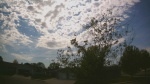 Web Cam Image - Sat, 05/16/2026 3:37pm CDT