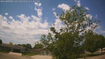 Web Cam Image - Tue, 05/26/2026 12:04pm CDT