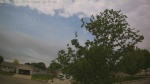 Web Cam Image - Sun, 05/31/2026 12:01pm CDT