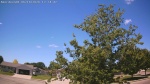 Web Cam Image - Sun, 06/14/2026 11:31am CDT